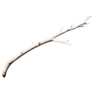 Minimalist Twig Png 77 PNG Image