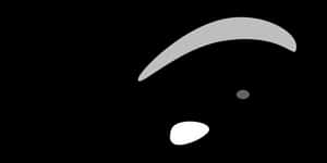 Minimalist Whale Artwork PNG image with transparent background