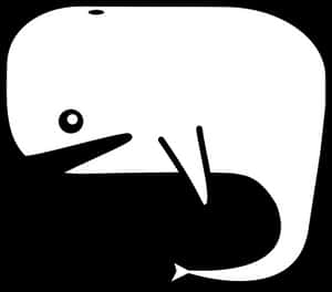 Minimalist_ Whale_ Graphic PNG with transparent background
