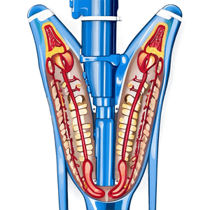 Minimally Invasive Surgery PNG 06252024 PNG with transparent background