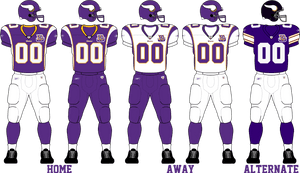 Minnesota Vikings Png - Minnesota Vikings Jersey Template, Transparent Png PNG image with transparent background