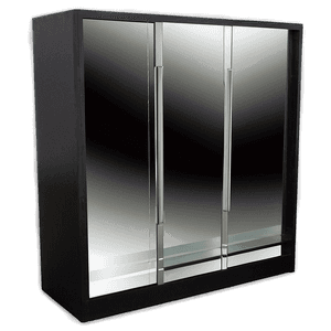 Mirrored Wardrobe Cabinet PNG die16 PNG