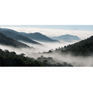 Mist Covered Hills PNG 05242024 PNG image with transparent background