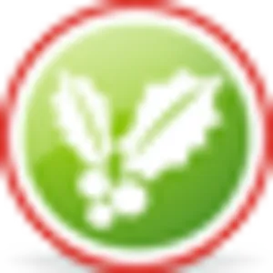 Mistletoe Icon Graphic PNG Image