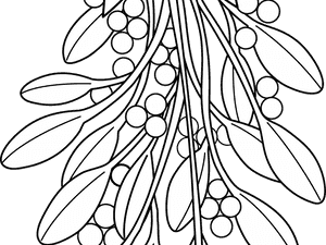 Christmas Coloring Pages Black And White With Mistletoe - Mistletoe Line Art PNG with transparent background
