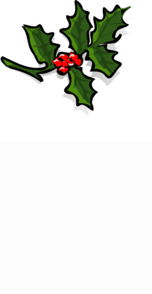 Holly - Christmas,mistletoe Twig Curtains PNG image with transparent background
