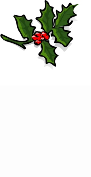 Mistletoe Illustration PNG Image