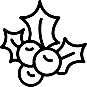 Mistletoe Comments - Mistletoe Svg PNG with transparent background