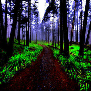 Misty Forest Trail PNG aqa PNG with transparent background