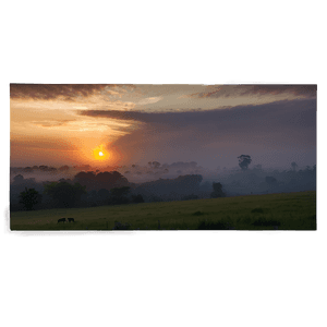 Misty Sunrise Glory PNG 42 PNG