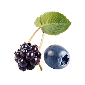 Mixed Berries Collection PNG nrt23 PNG with transparent background