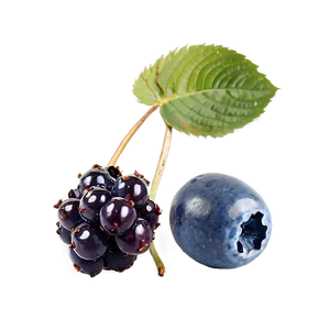 Mixed Berries Collection Png Nrt23 PNG Image