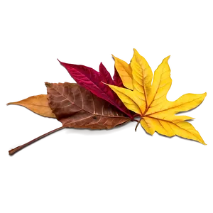 Mixed Fallen Leaves Heap Png 94 PNG Image