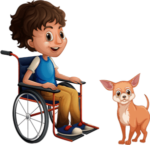 Mobility-assisting Chihuahua - Chihuahua, HD Png Download PNG image with transparent background