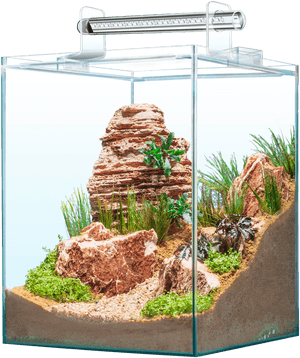 Sera Scaper Cubes, HD Png Download PNG image with transparent background