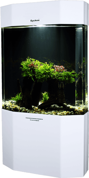 Eyckee Love Octagonal Ecological - Aquarium, HD Png Download PNG image with transparent background
