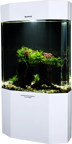 Modern Aquarium Setup PNG Image