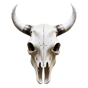 Modern Cow Skull Artwork Png 27 PNG Image