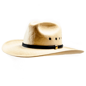 Modern Cowboy Hat Transparency PNG 67 PNG