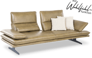 Broadway - Willi Schillig Sofa Leder, HD Png Download PNG image with transparent background