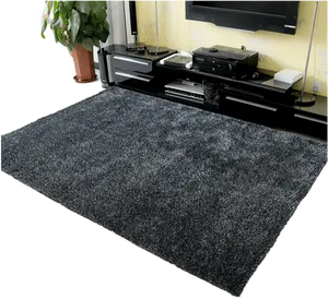 Modern Living Room Carpet PNG Image