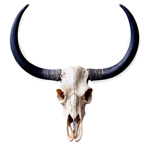 Modern Longhorn Skull Picture Png 06292024 PNG Image