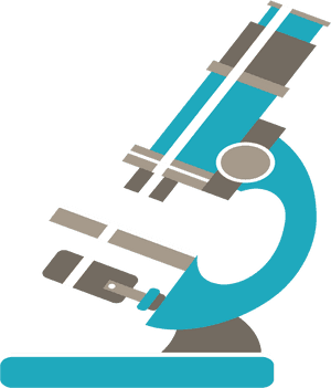 Research Science Euclidean Vector Biology - Biology, HD Png Download PNG image with transparent background