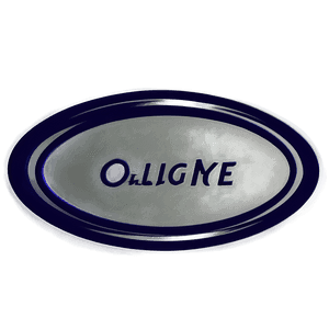 Modern Oval Logo PNG arv8 PNG
