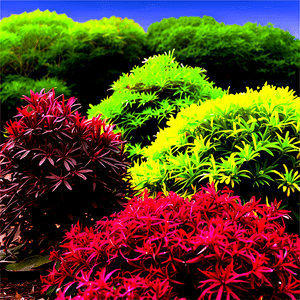 Moisture Loving Shrubs PNG edw PNG