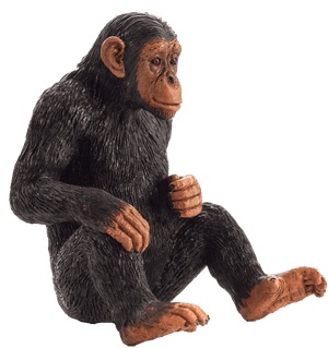 Mojo Chimpanzee, HD Png Download PNG image with transparent background
