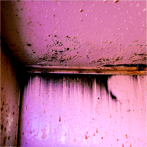 Mold Damage PNG rsl PNG