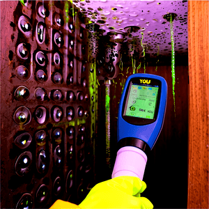 Mold Detection PNG pnn62 PNG