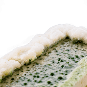 Mold on Food PNG puw53 PNG