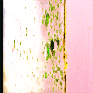 Mold on Wall PNG 06132024 PNG