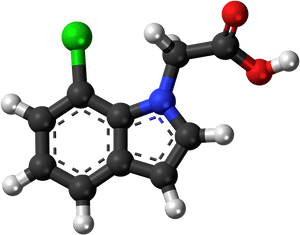 Seratonin Png, Transparent Png PNG image with transparent background