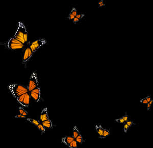 Flying Butterflies PNG image with transparent background