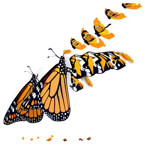 Monarch Butterflies In Nature Png 06252024 PNG Image