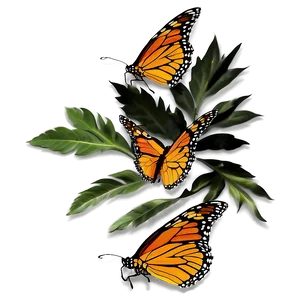 Monarch Butterflies In Sunset Png Xjn PNG Image