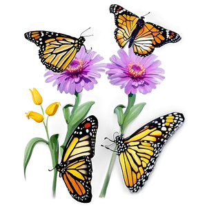 Monarch Butterflies On Flower Png 06252024 PNG Image