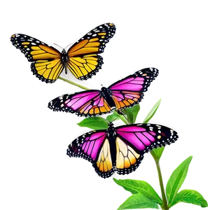 Monarch Butterflies Png Ogy79 PNG Image