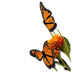 Monarch Butterflies Silhouette Sunset Png Bwc17 PNG Image