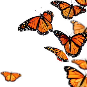 Monarch Butterflies Swarming Png 06252024 PNG Image