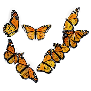 Monarch Butterflies Swarming Png Ctx PNG Image