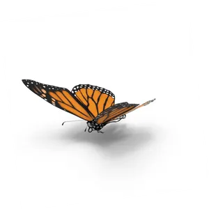 Monarch Butterfly Graceful Pose PNG Image