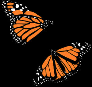 Monarch Butterfly Graphic PNG image with transparent background