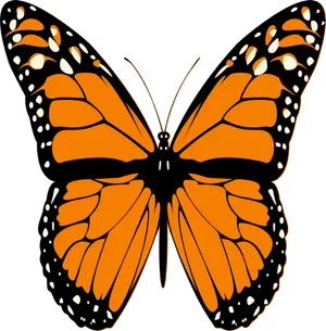 Monarch Butterfly Illustration PNG Image