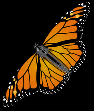 Monarch Butterfly Illustration PNG