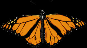 Monarch Butterfly Illustration PNG