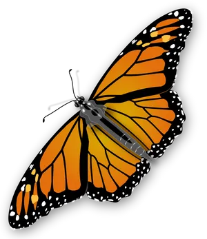 Monarch Butterfly Robot Hybrid PNG Image