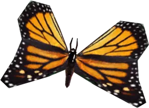 Monarch Butterfly Spread Wings PNG Image